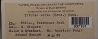 Image Associated With the Occurence